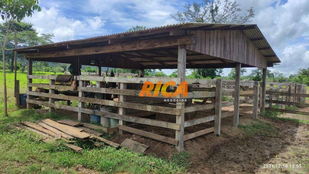 Fazenda à venda com 1 quarto, 6530000M2 - Foto 11