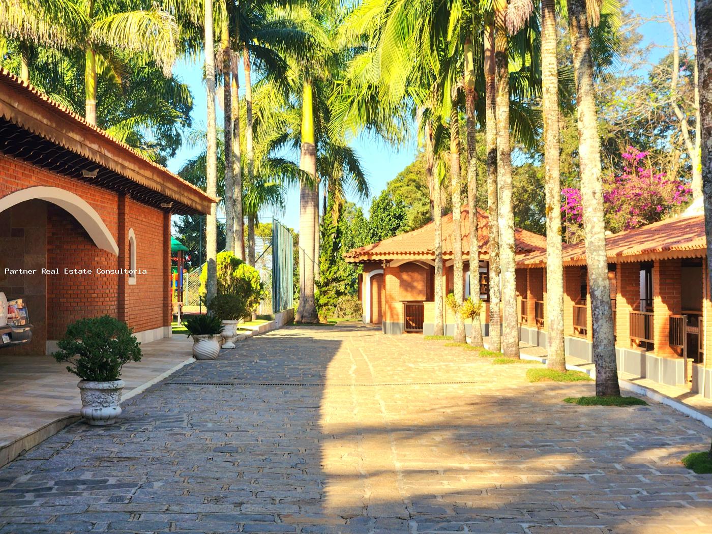 Fazenda à venda com 4 quartos, 38274m² - Foto 12