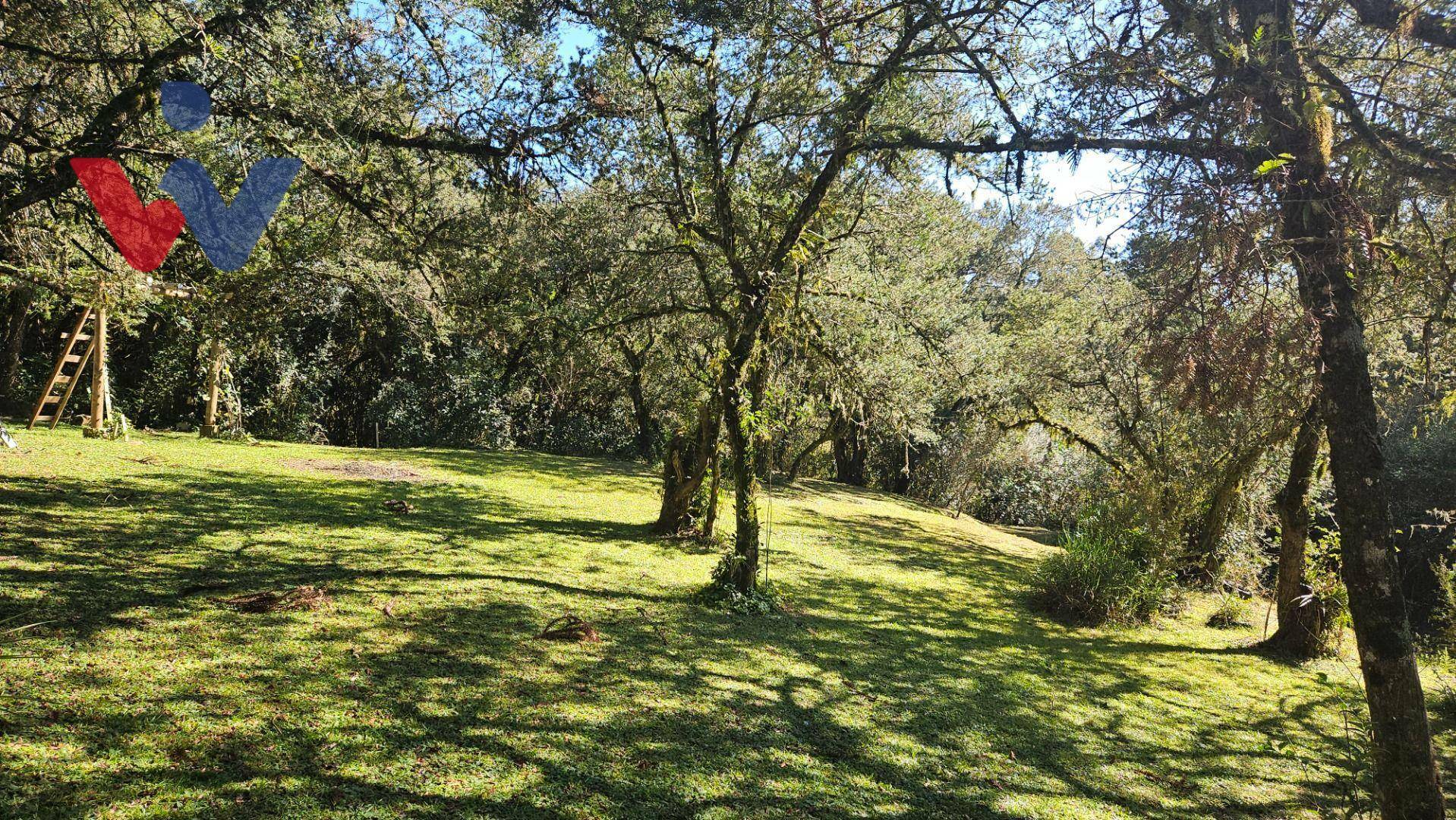 Chácara à venda com 4 quartos, 3700M2 - Foto 33