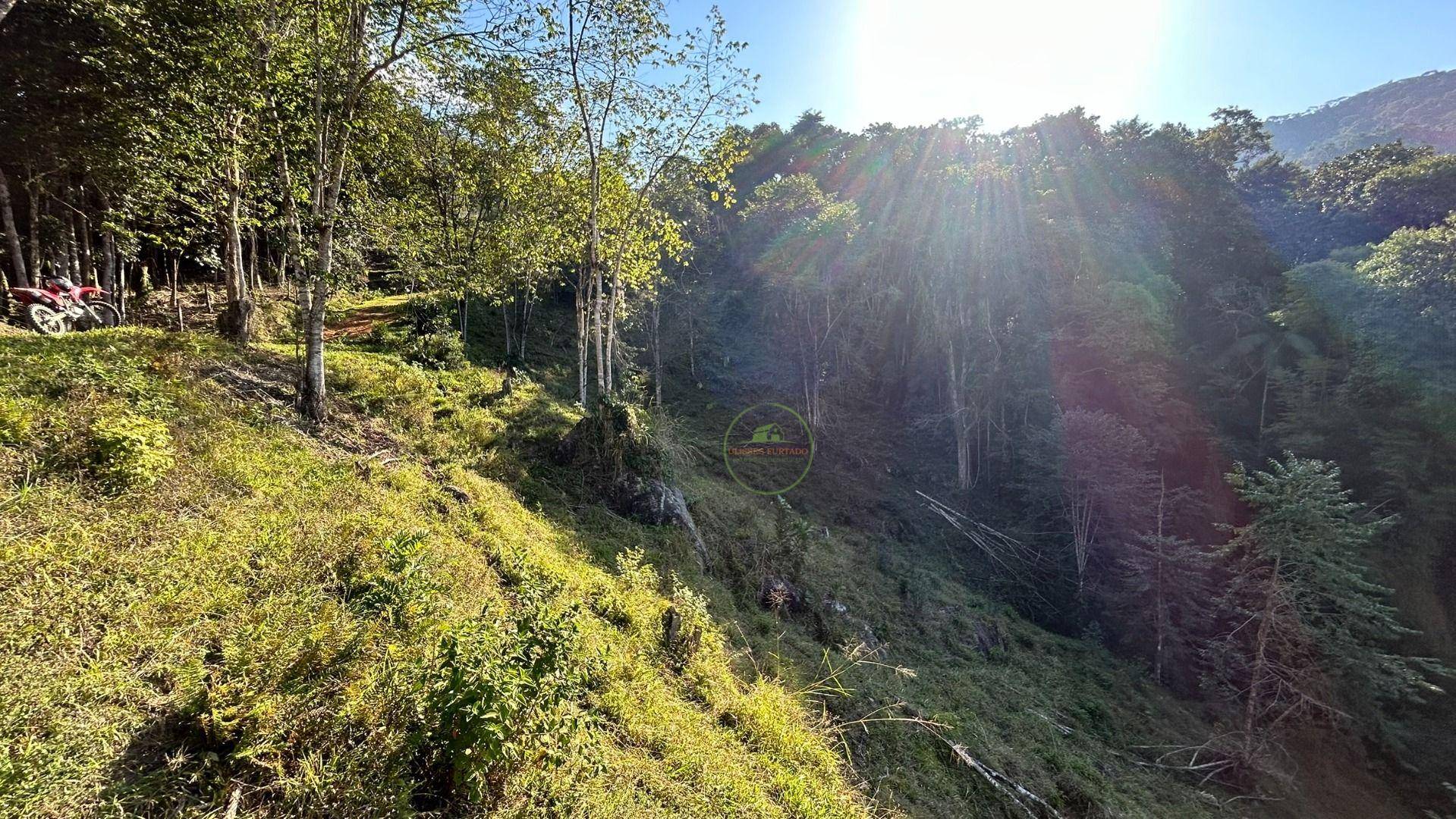 Terreno, 8800 m² - Foto 3