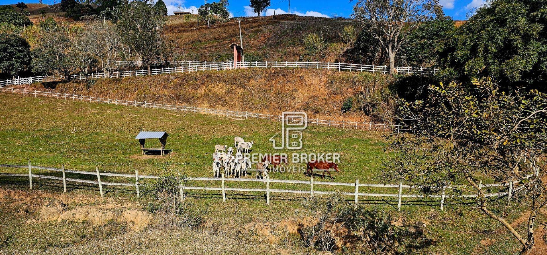 Sítio à venda com 4 quartos, 500m² - Foto 44