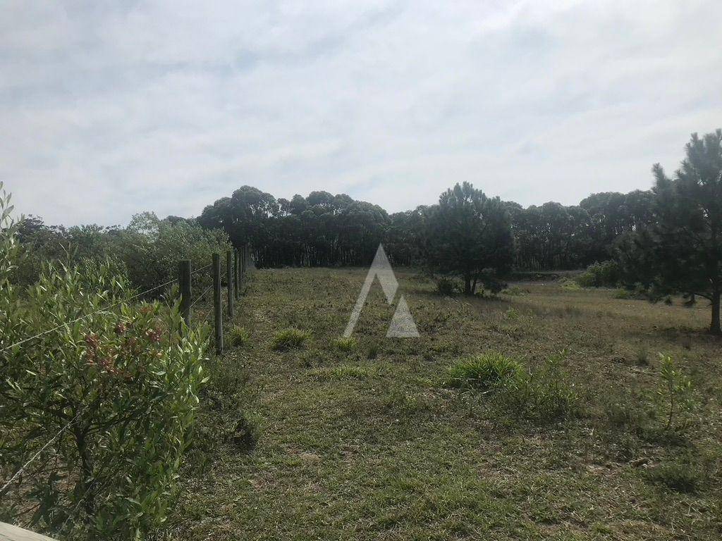 Terreno, 4330 m² - Foto 2