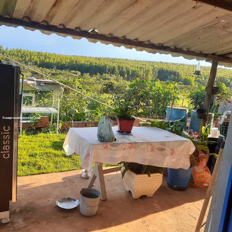 Fazenda à venda com 4 quartos, 4800m² - Foto 3