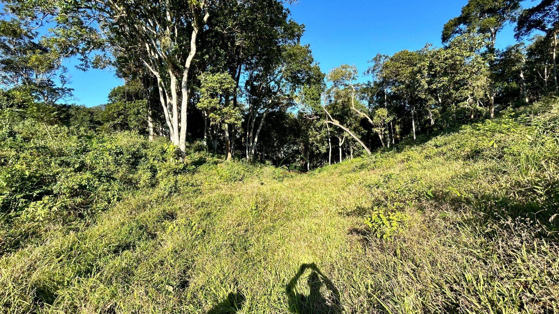 Terreno, 27 hectares - Foto 13