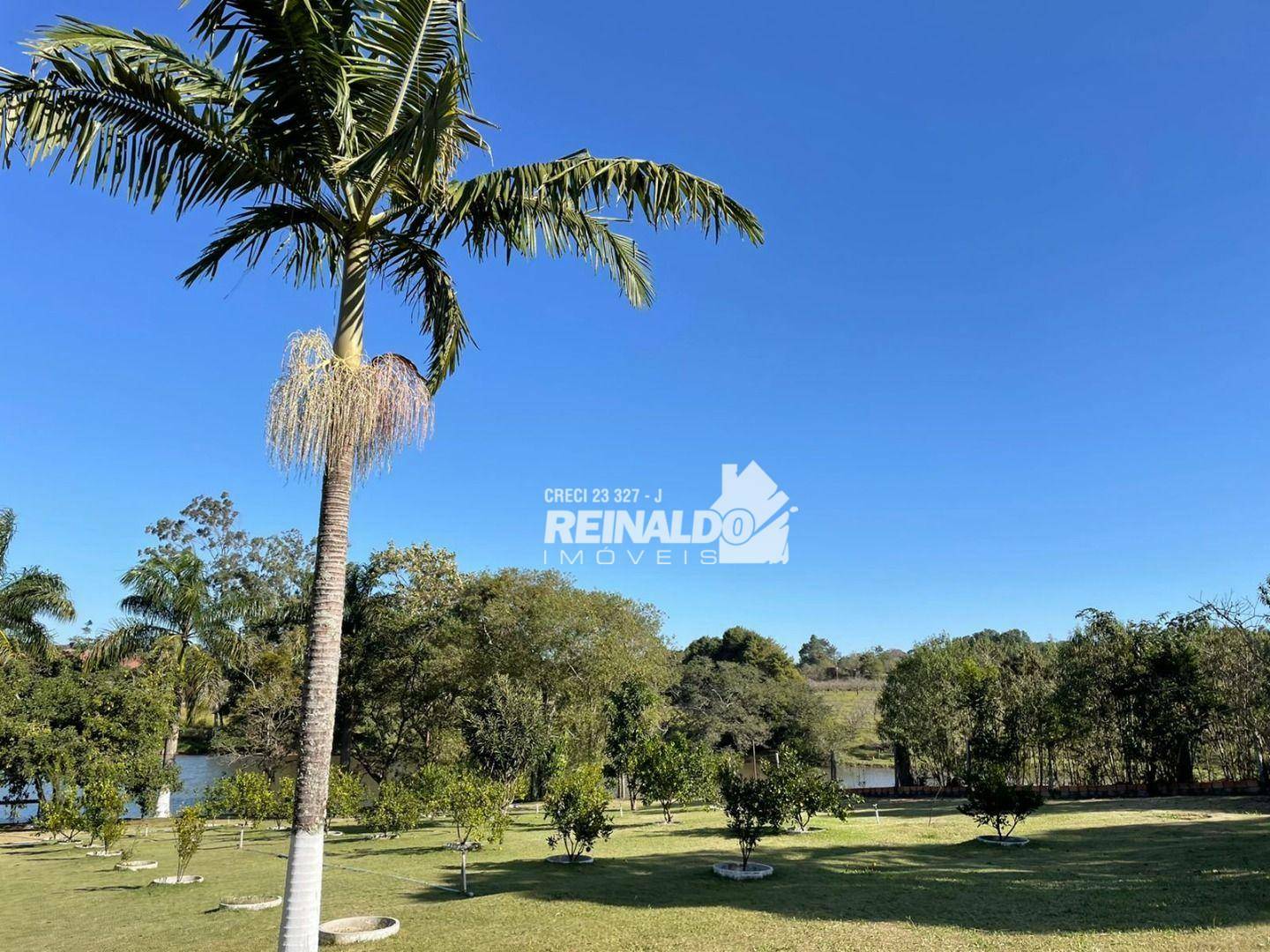 Sítio à venda com 2 quartos, 800m² - Foto 11
