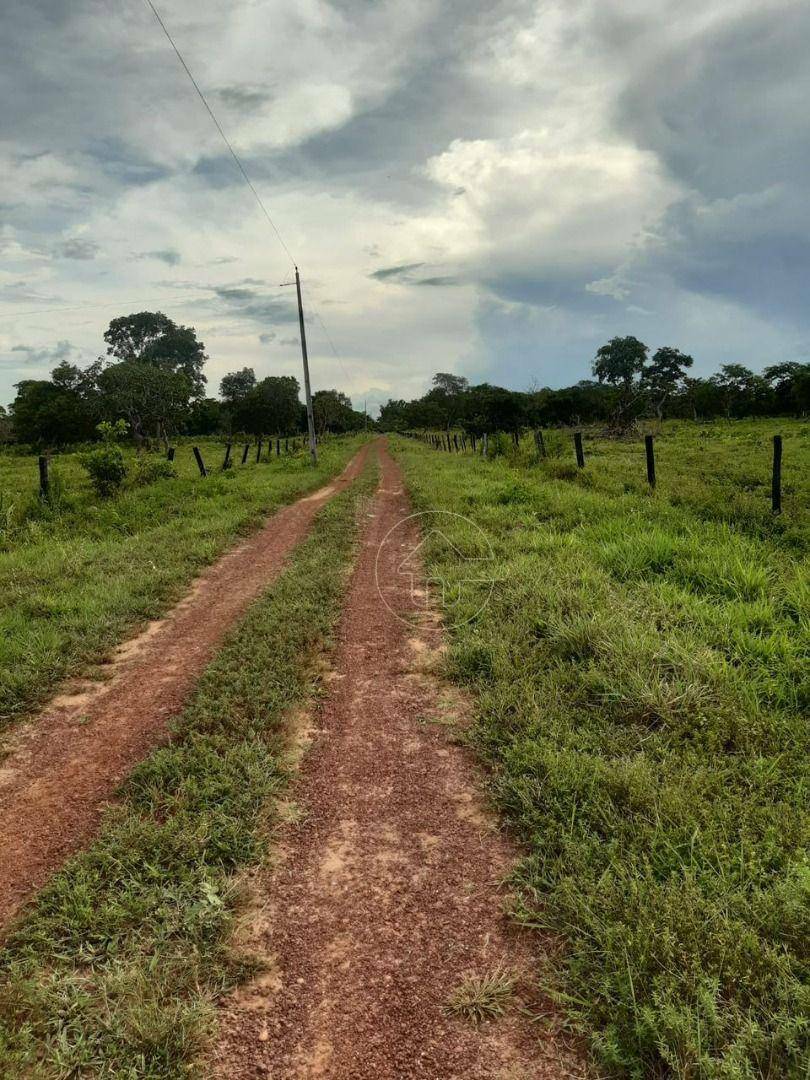 Fazenda à venda, 726000M2 - Foto 8