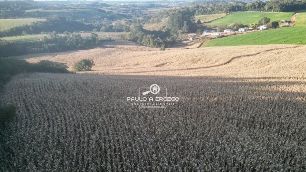Fazenda-Sítio-Chácara, 22 hectares - Foto 2