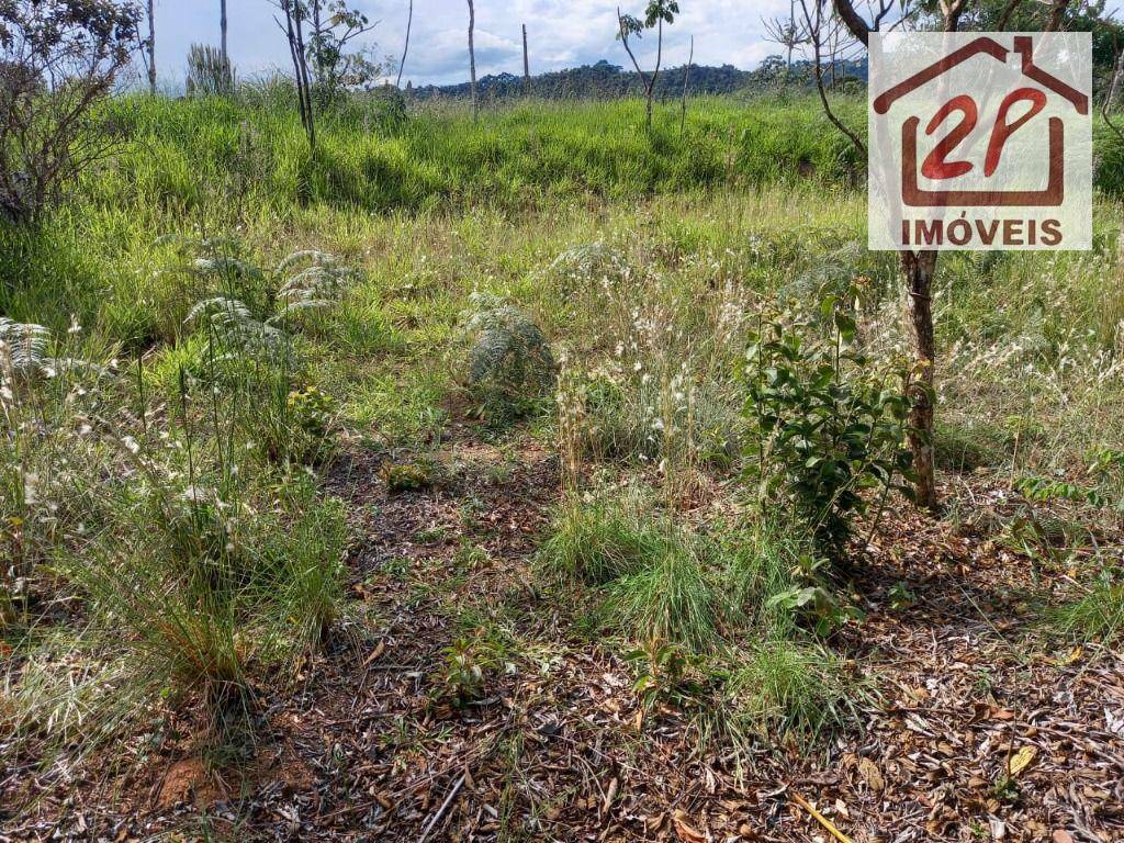 Terreno à venda, 10000M2 - Foto 17