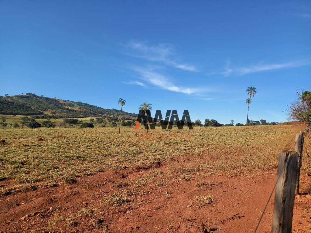 Fazenda à venda, 12100000M2 - Foto 33