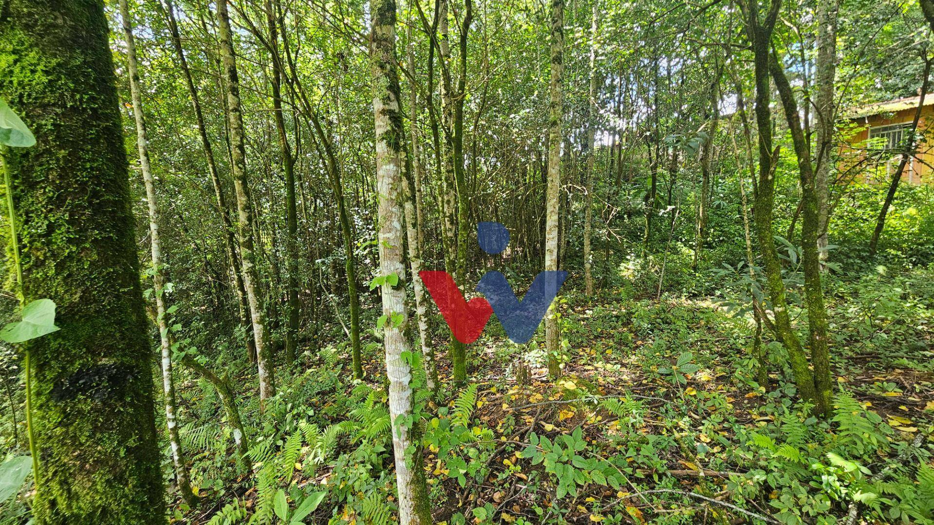 Terreno à venda, 11000M2 - Foto 11