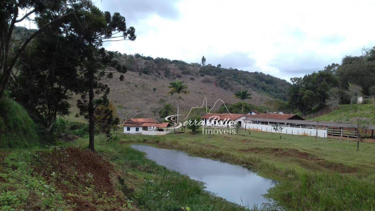 Fazenda-Sítio-Chácara, 296 hectares - Foto 3
