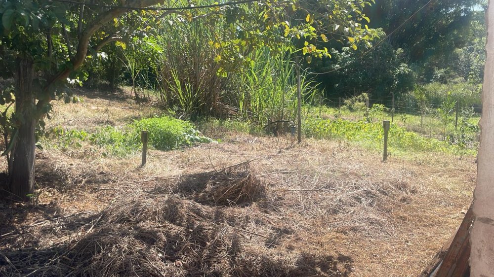 Fazenda à venda com 3 quartos, 45000m² - Foto 6