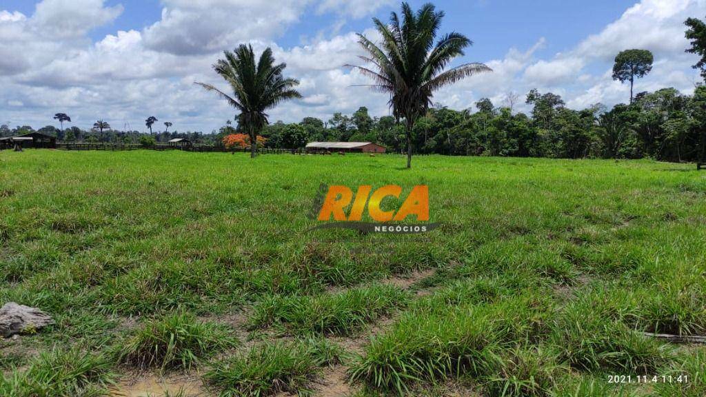 Fazenda à venda com 4 quartos, 1400000M2 - Foto 5