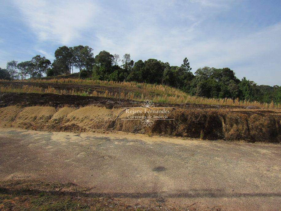 Loteamento e Condomínio à venda, 1184M2 - Foto 3