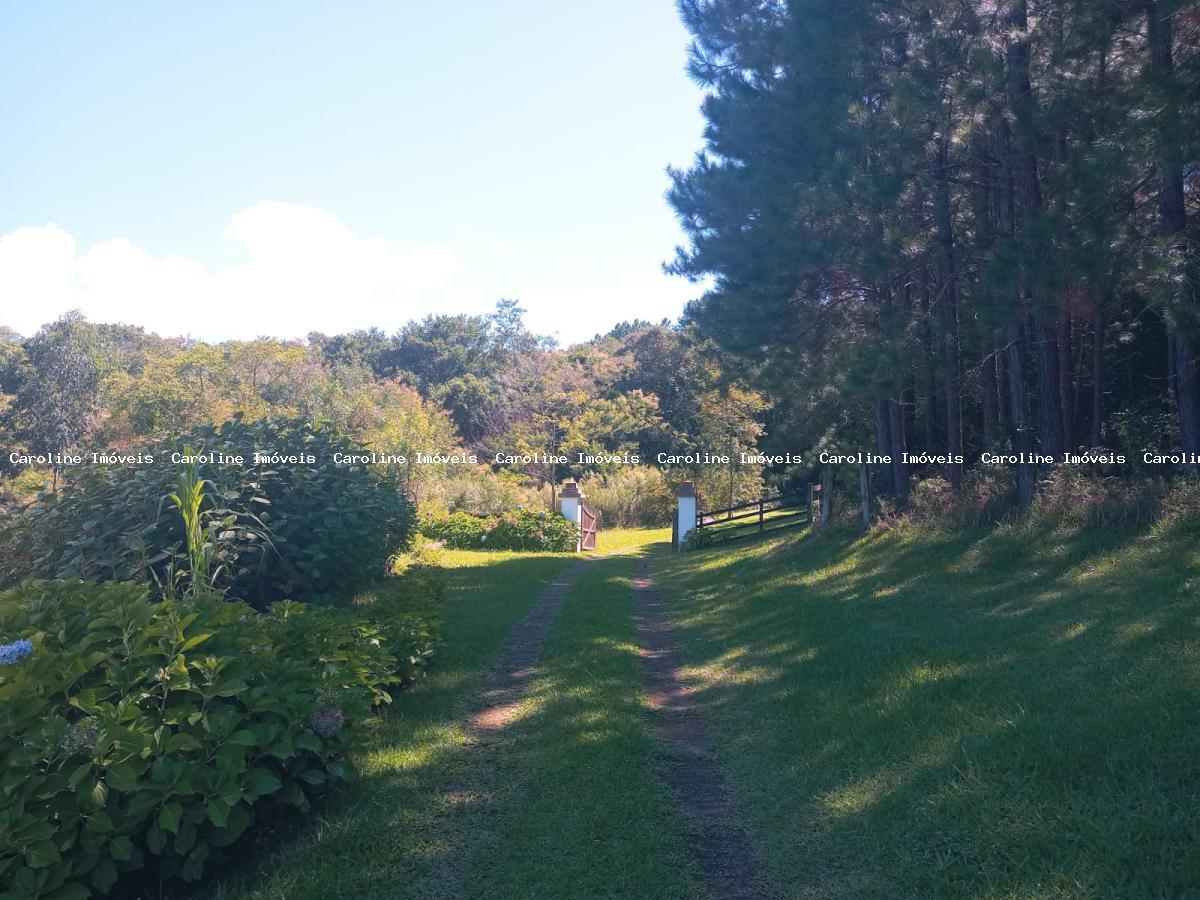 Fazenda à venda com 7 quartos, 800000m² - Foto 3