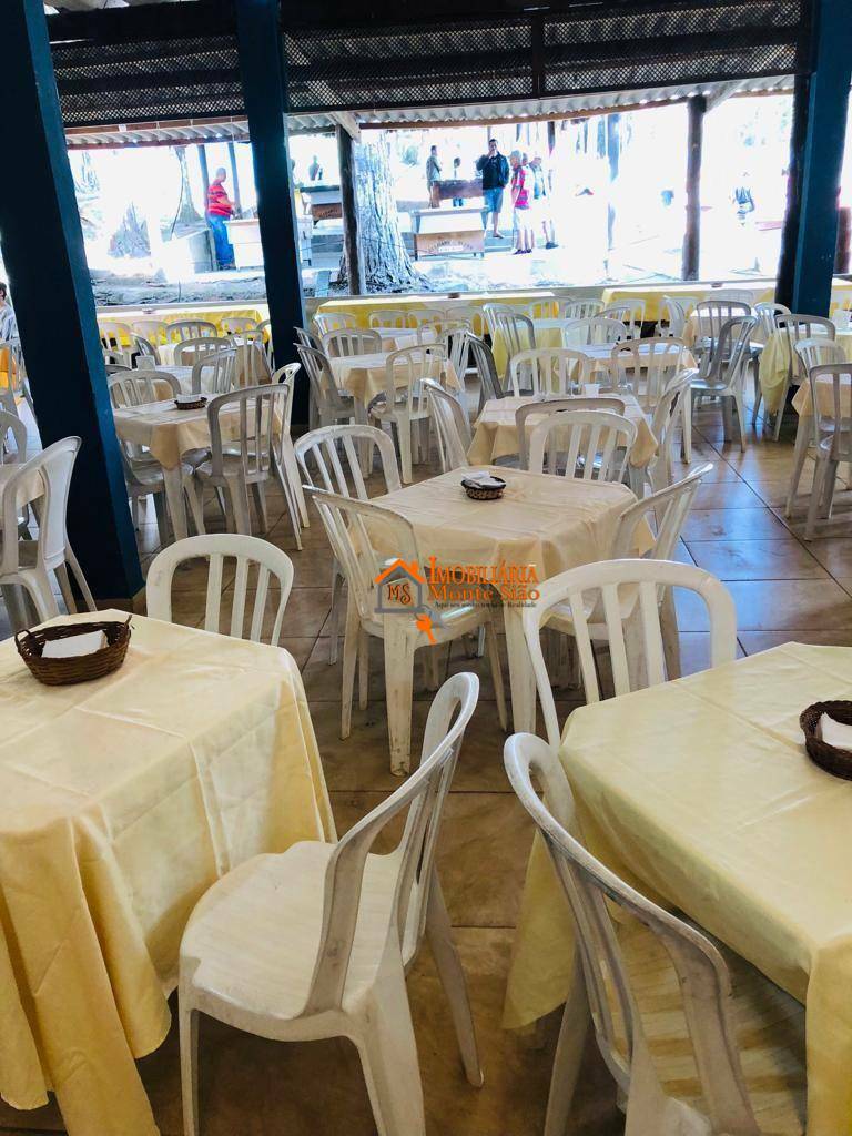 Sítio, 4 quartos, 2 hectares - Foto 15