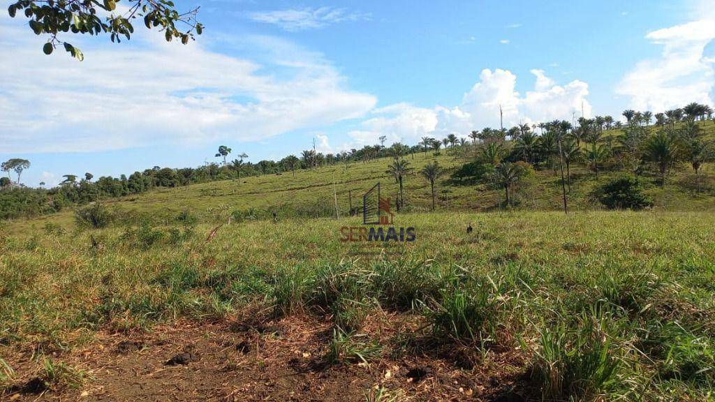 Fazenda à venda com 4 quartos, 6001600M2 - Foto 10