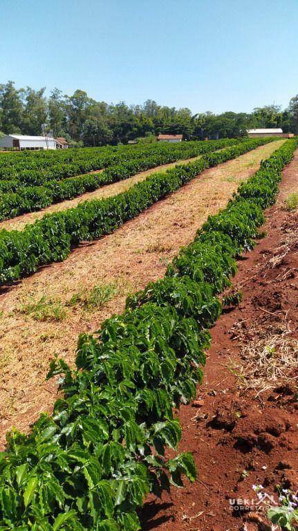 Fazenda à venda, 2420000M2 - Foto 12