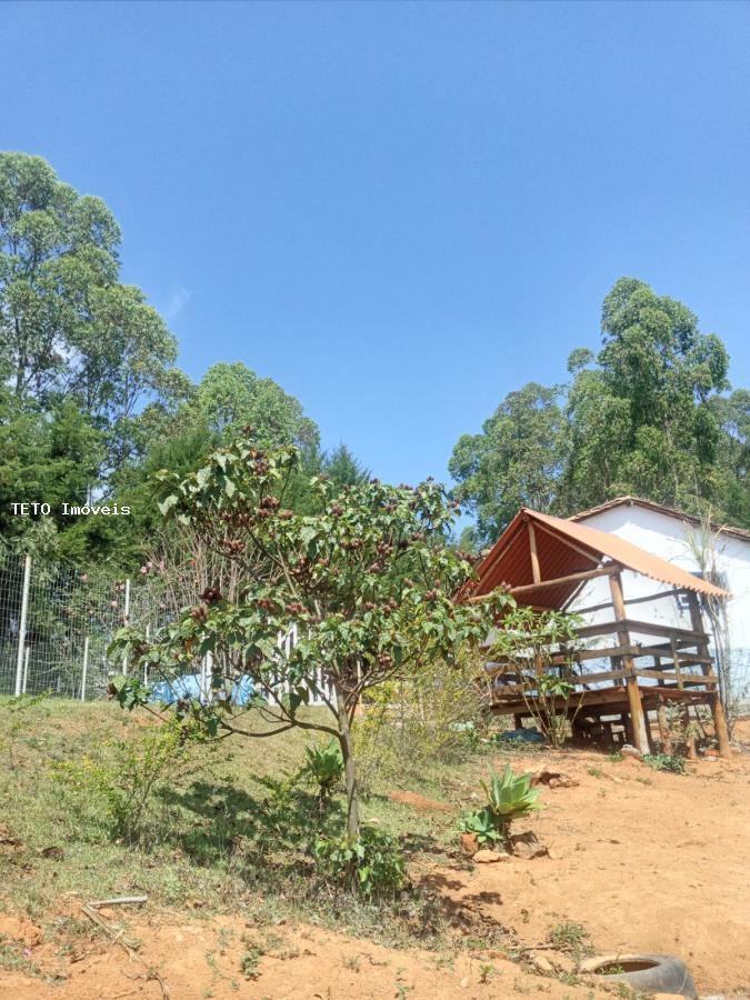 Fazenda à venda com 4 quartos, 1700m² - Foto 7