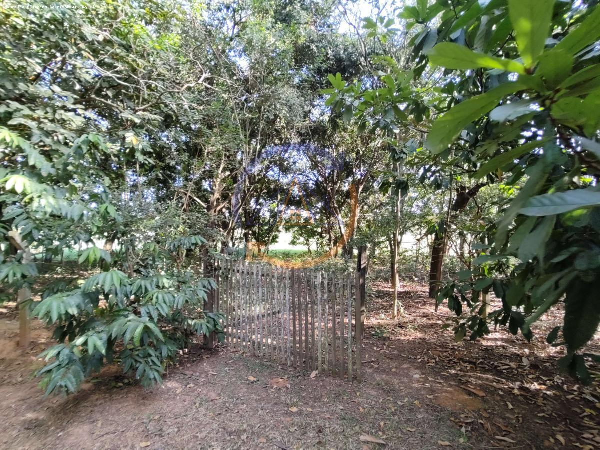 Fazenda à venda com 4 quartos, 4371m² - Foto 27