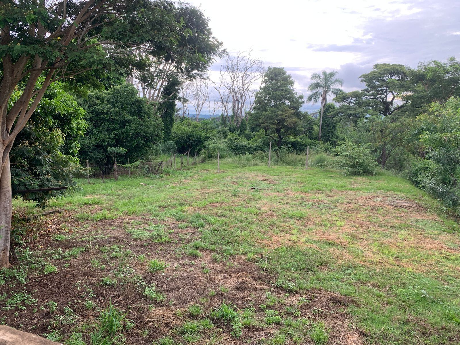 Fazenda à venda com 4 quartos, 5000m² - Foto 7