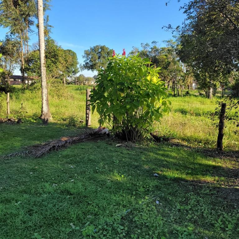 Terreno à venda, 58357m² - Foto 6