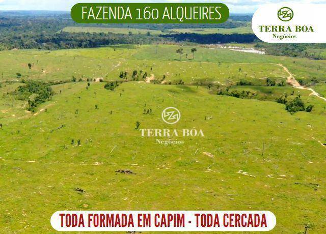 Fazenda-Sítio-Chácara, 387 hectares - Foto 1