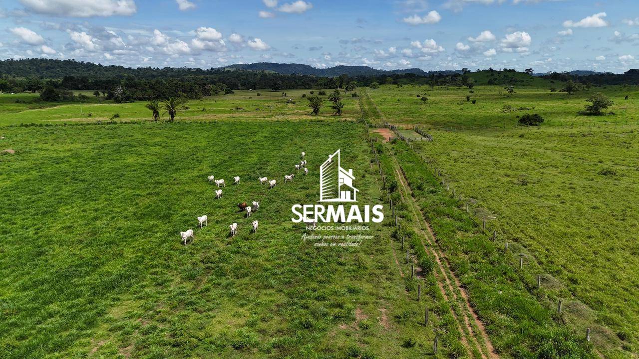 Fazenda, 1116 hectares - Foto 5