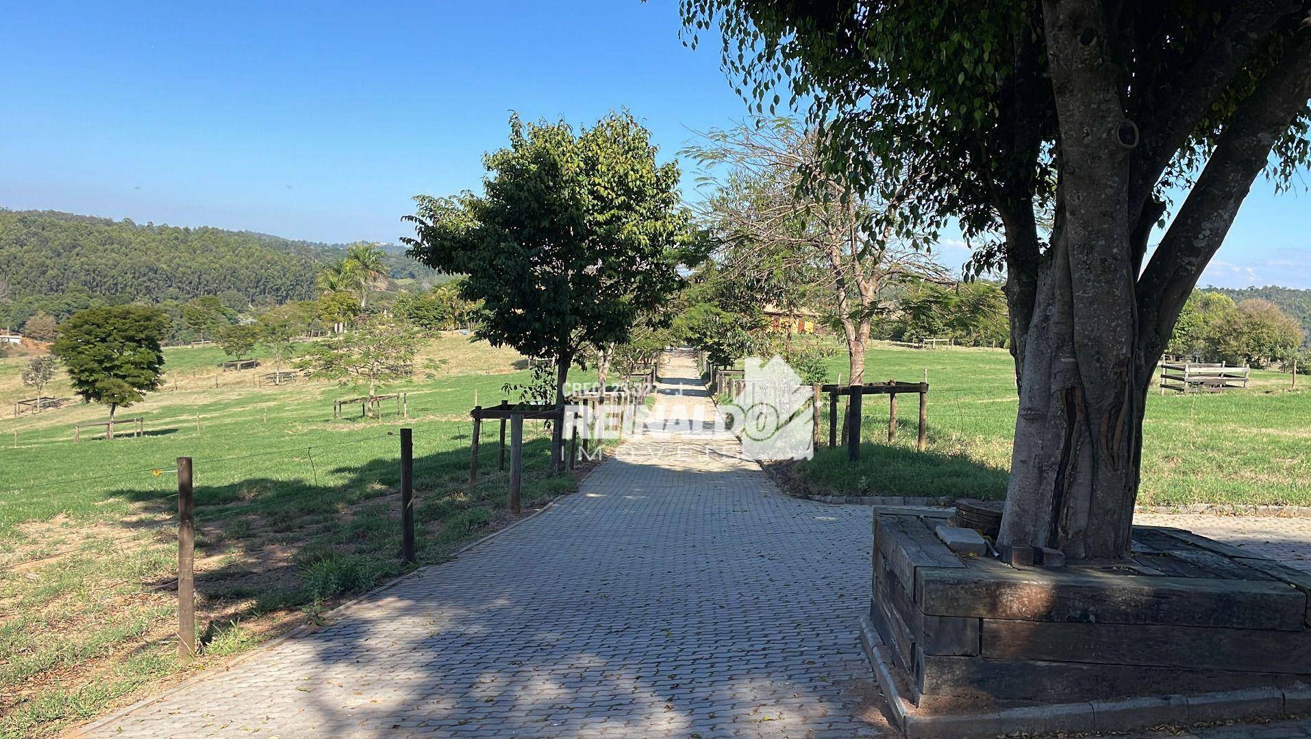 Haras e Área Rural Padrão à venda com 4 quartos, 1050m² - Foto 11