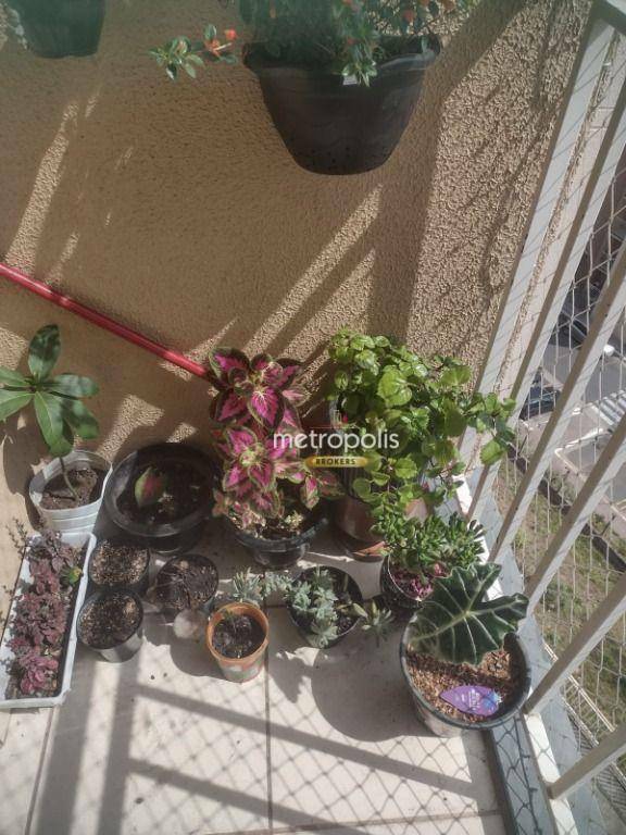 Apartamento, 2 quartos, 54 m² - Foto 7