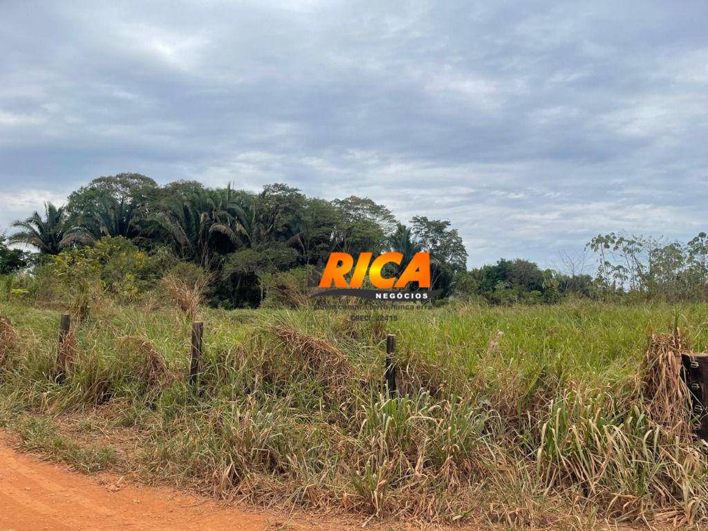 Sítio, 12 hectares - Foto 5