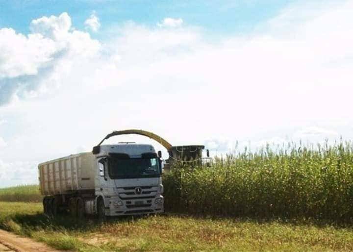 Fazenda à venda, 118290000M2 - Foto 4