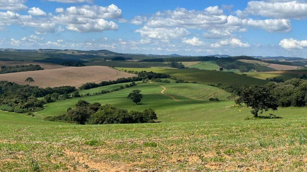 Fazenda, 339 hectares - Foto 1