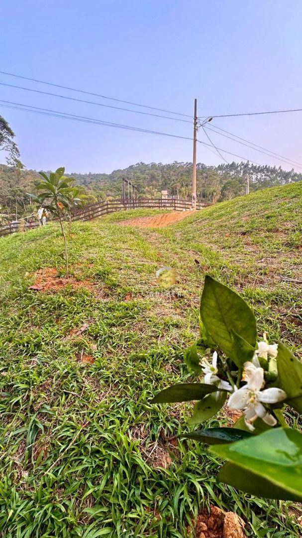 Terreno à venda, 1000M2 - Foto 2