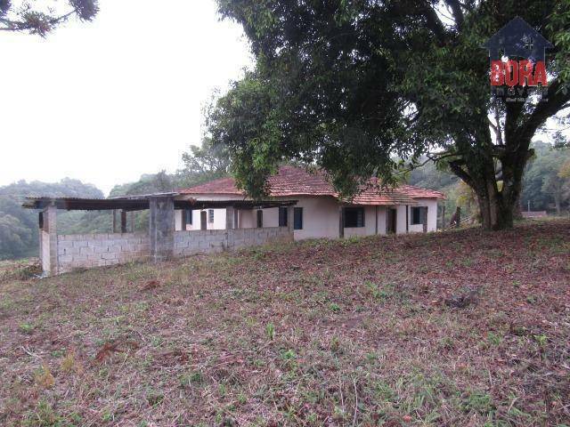 Haras e Área Rural Padrão à venda, 500m² - Foto 23