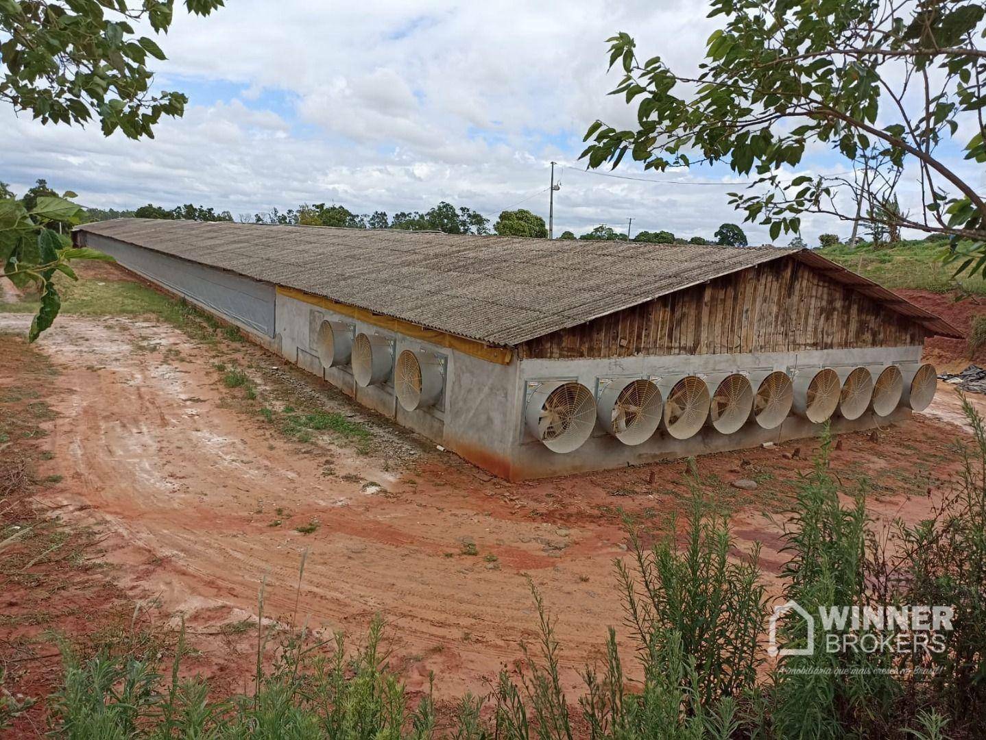 Chácara à venda com 2 quartos, 48000M2 - Foto 3