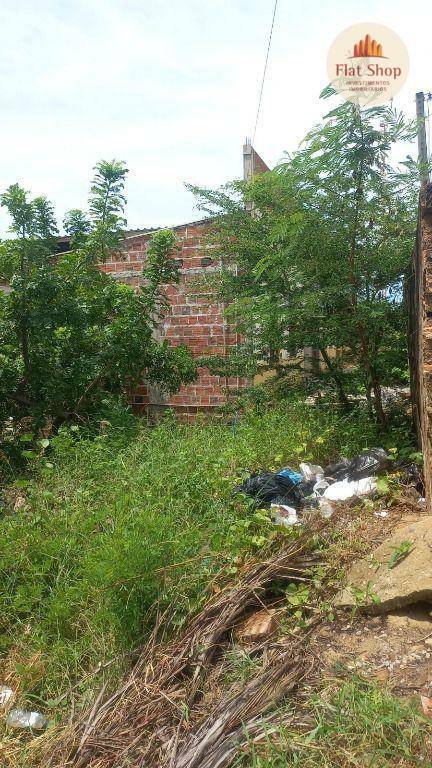 Terreno à venda, 413M2 - Foto 5