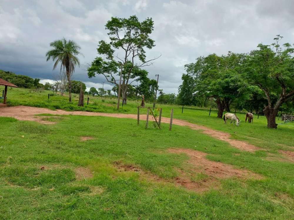 Fazenda-Sítio-Chácara, 2575 hectares - Foto 1