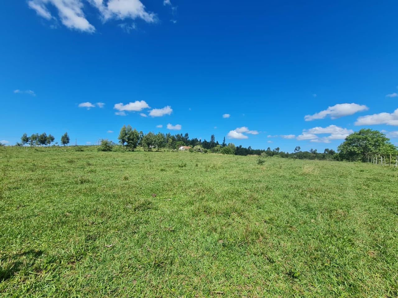 Fazenda à venda, 48400m² - Foto 38