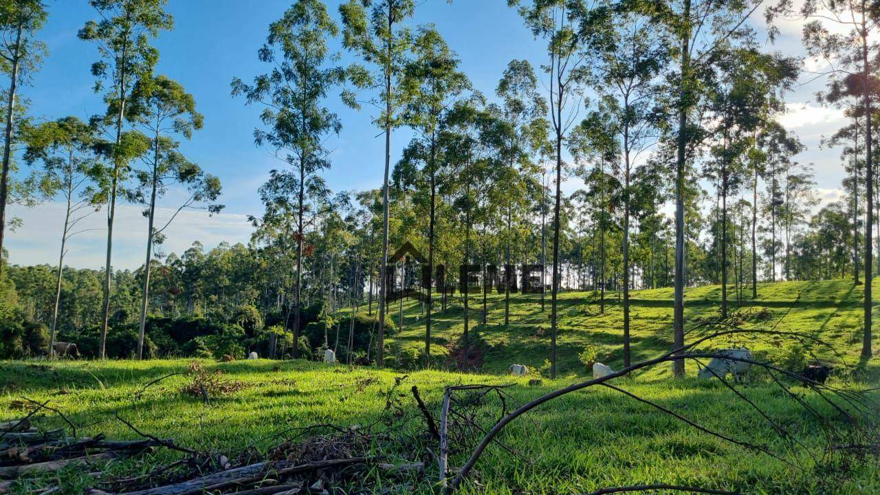 Fazenda à venda, 1258400M2 - Foto 10