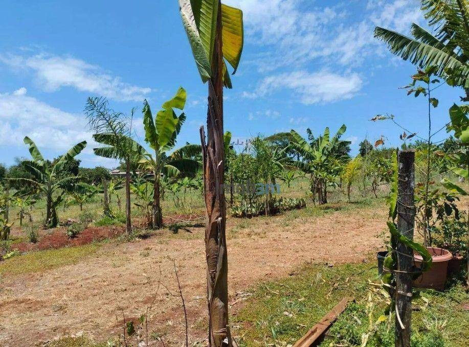 Chácara à venda com 3 quartos, 150m² - Foto 28