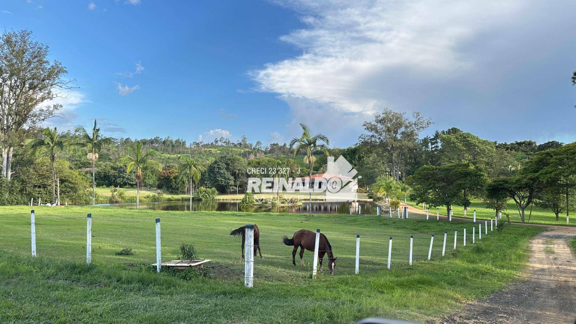 Fazenda à venda com 9 quartos, 5000m² - Foto 25