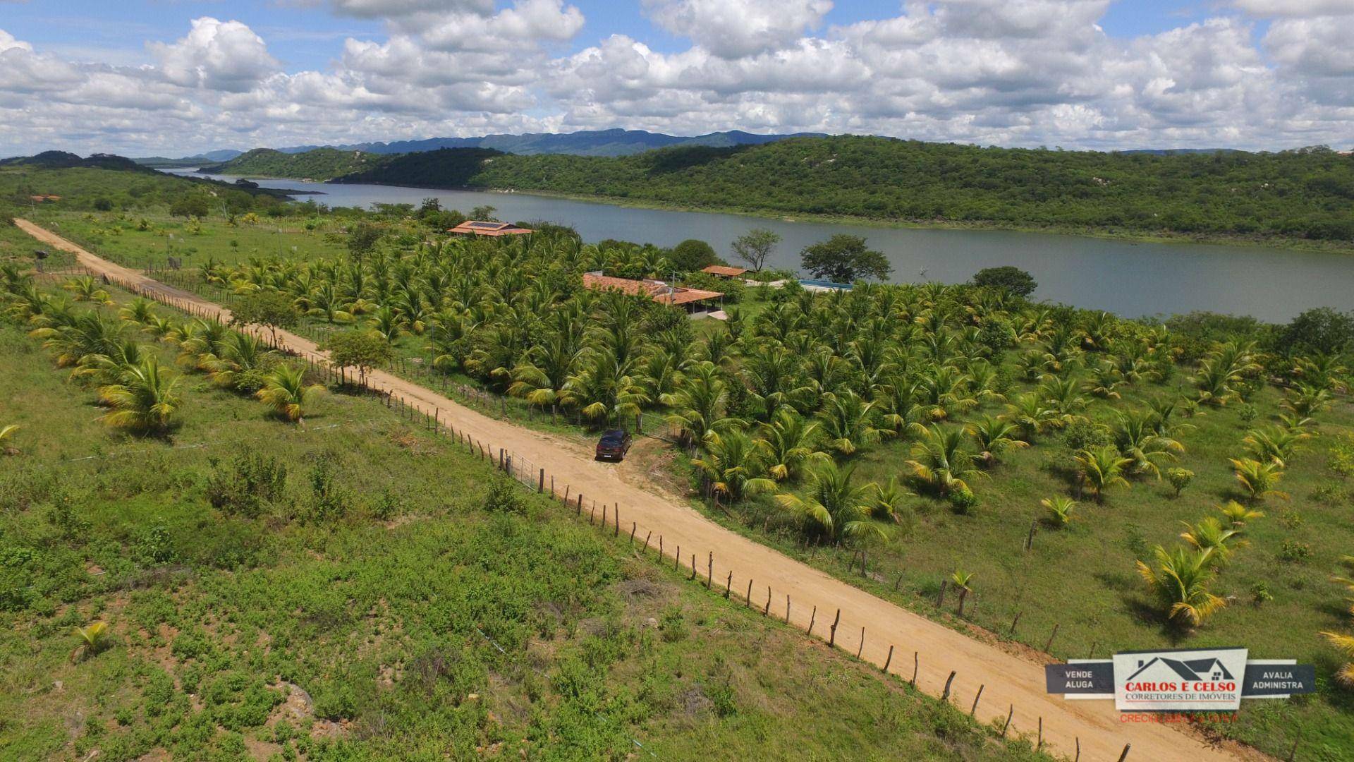 Fazenda-Sítio-Chácara, 12 hectares - Foto 2