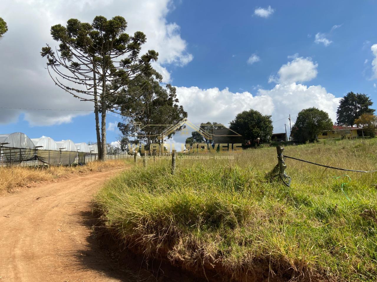 Fazenda-Sítio-Chácara, 70 m² - Foto 24