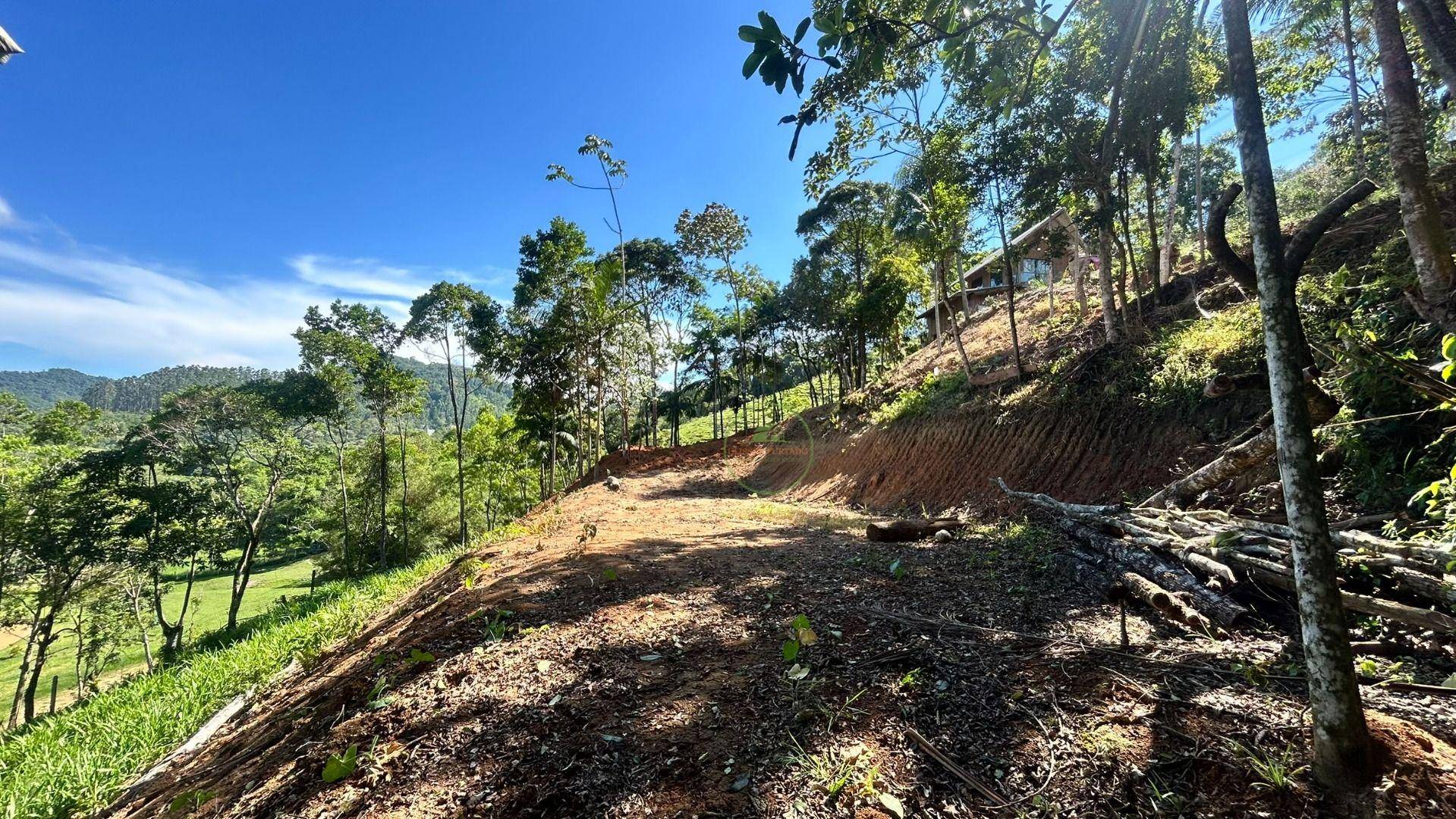 Chácara, 2 quartos, 6000 m² - Foto 5