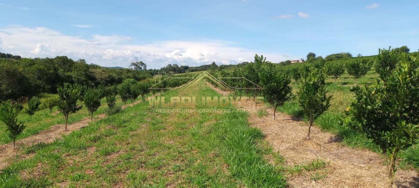 Fazenda à venda, 27m² - Foto 19