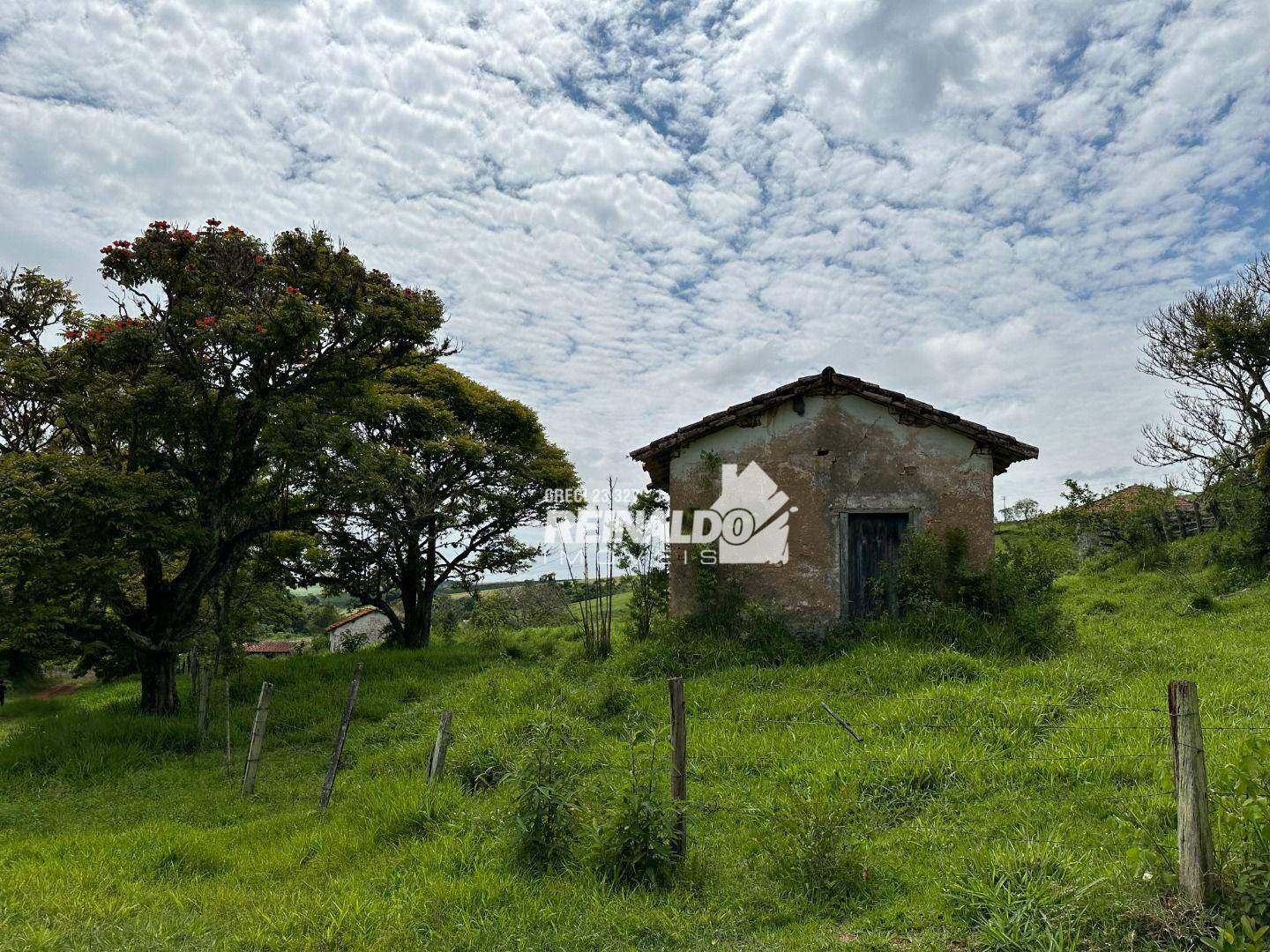 Fazenda à venda com 8 quartos, 950m² - Foto 5