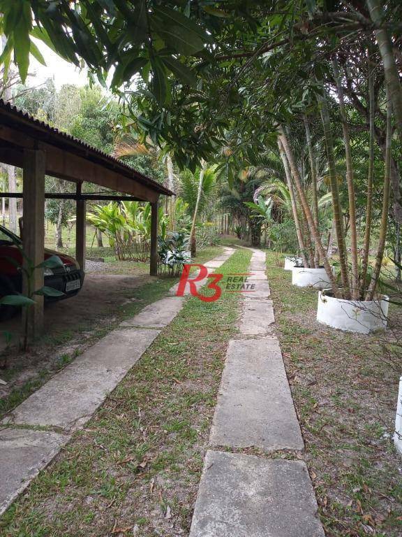 Sítio, 5 quartos, 7 hectares - Foto 3