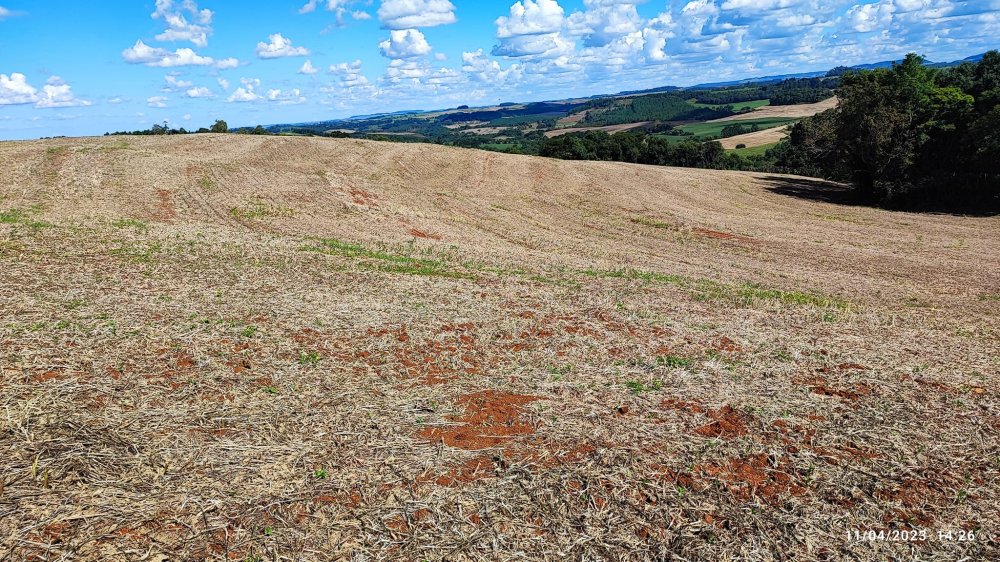 Fazenda à venda, 9m² - Foto 1