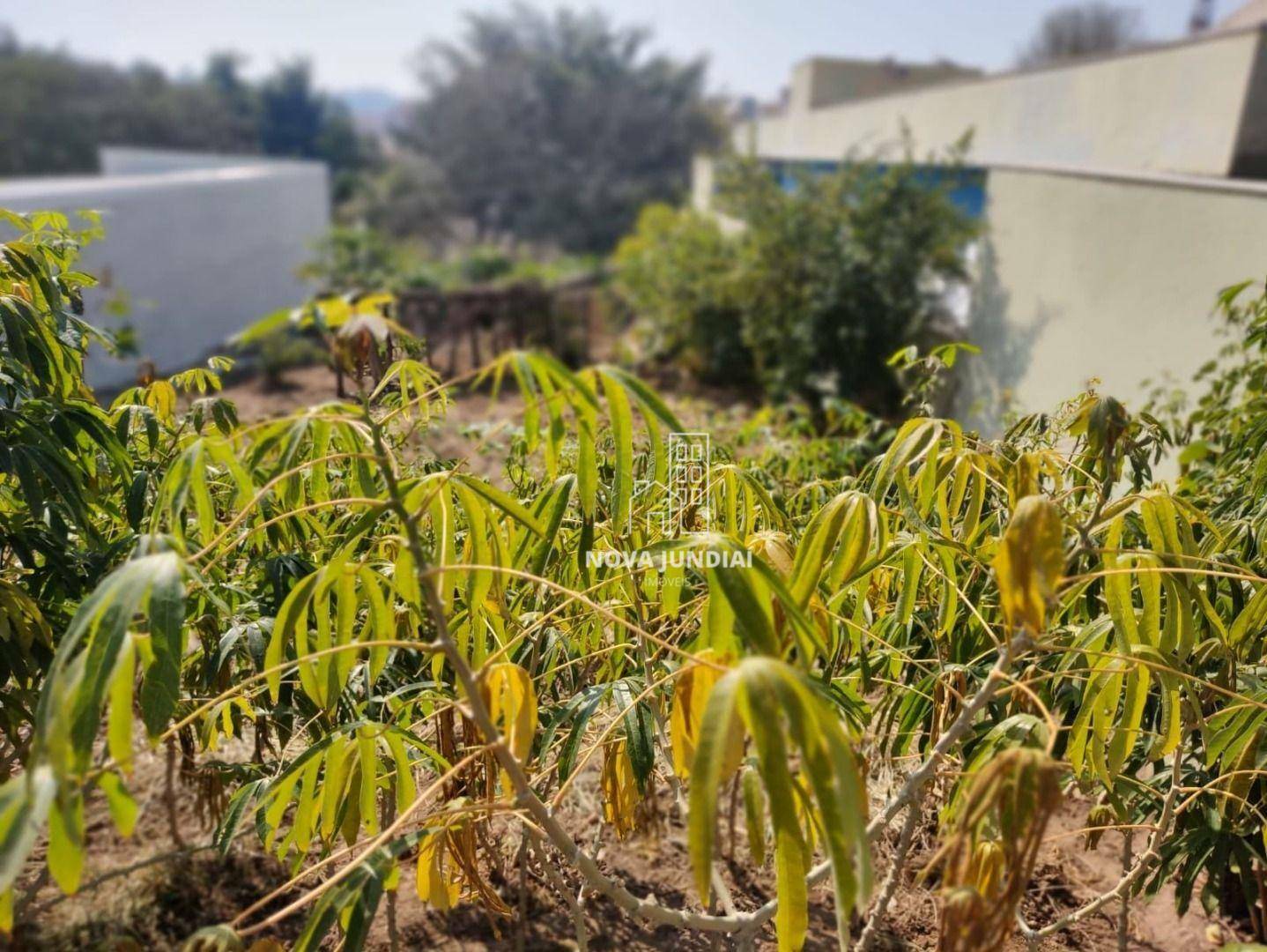 Terreno à venda, 350M2 - Foto 7